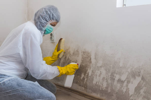 Best Mold Testing  in College Station, TX