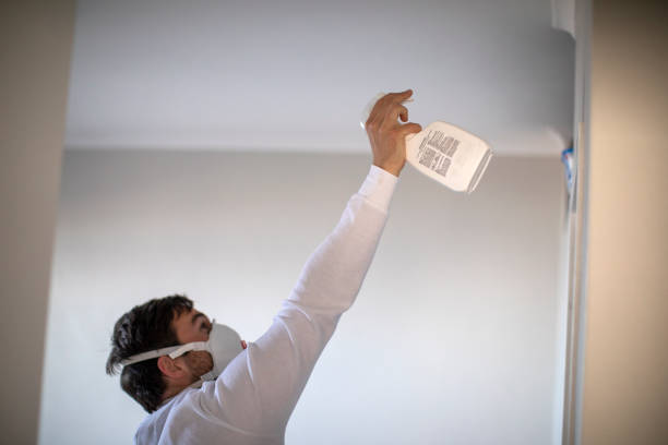 Best Fast Mold Removal  in College Station, TX