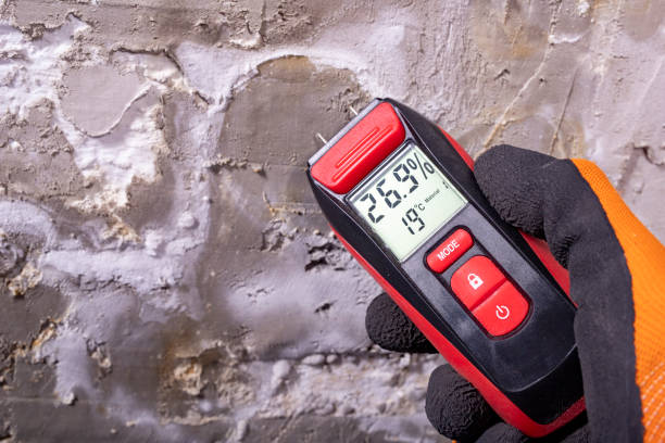 Best Mold Damage Repair  in College Station, TX
