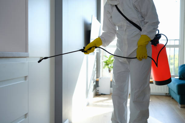 Crawl Space Mold Removal in College Station, TX