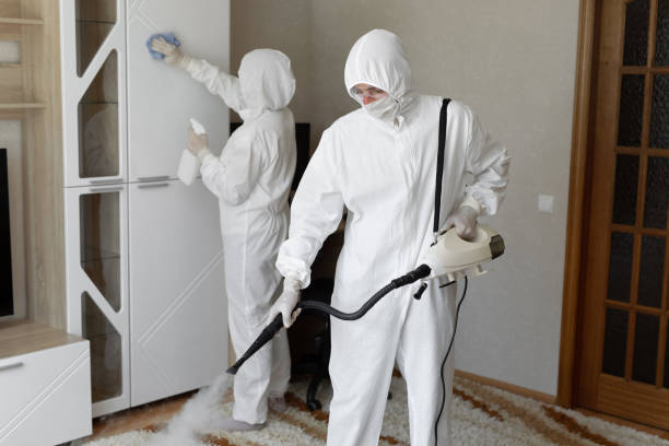 Best Mold Removal Process  in College Station, TX