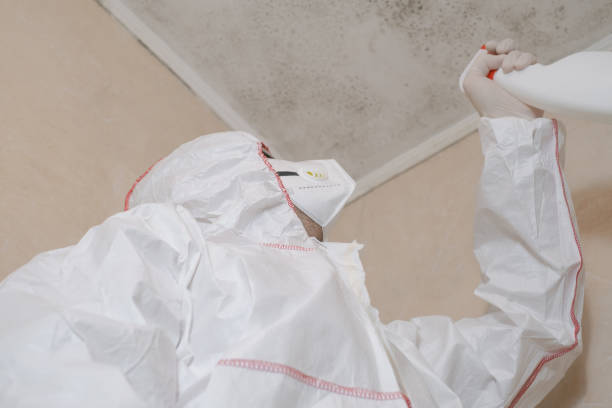 Best Best Mold Removal Companies  in College Station, TX