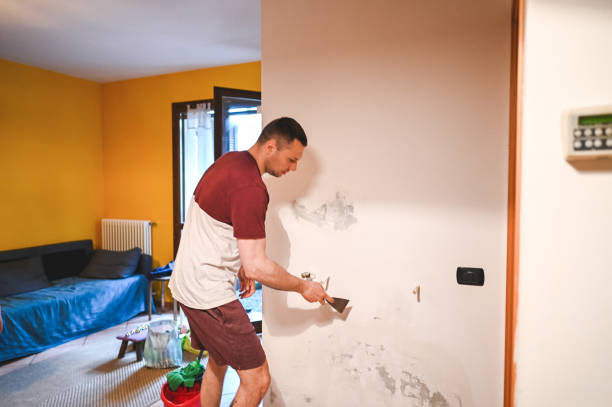 Best Mold Removal Company Near Me  in College Station, TX